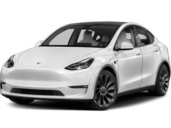 TESLA MODEL Y 2023 7SAYGDEE1PA177470 image